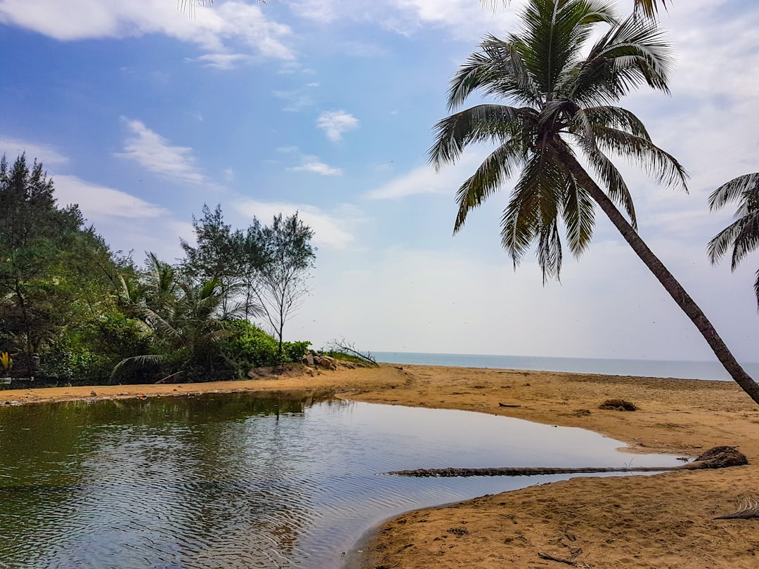 Tropics photo spot Kerala Vypin