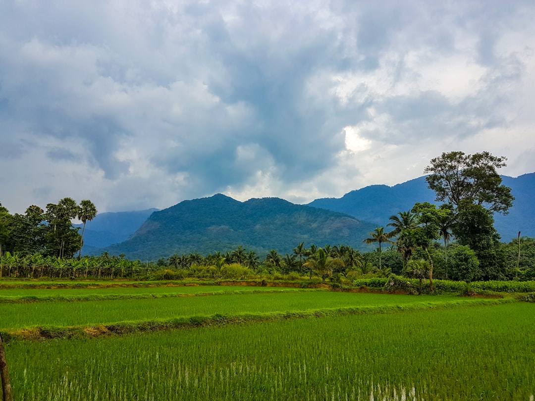 Plain photo spot Kerala Thrissur