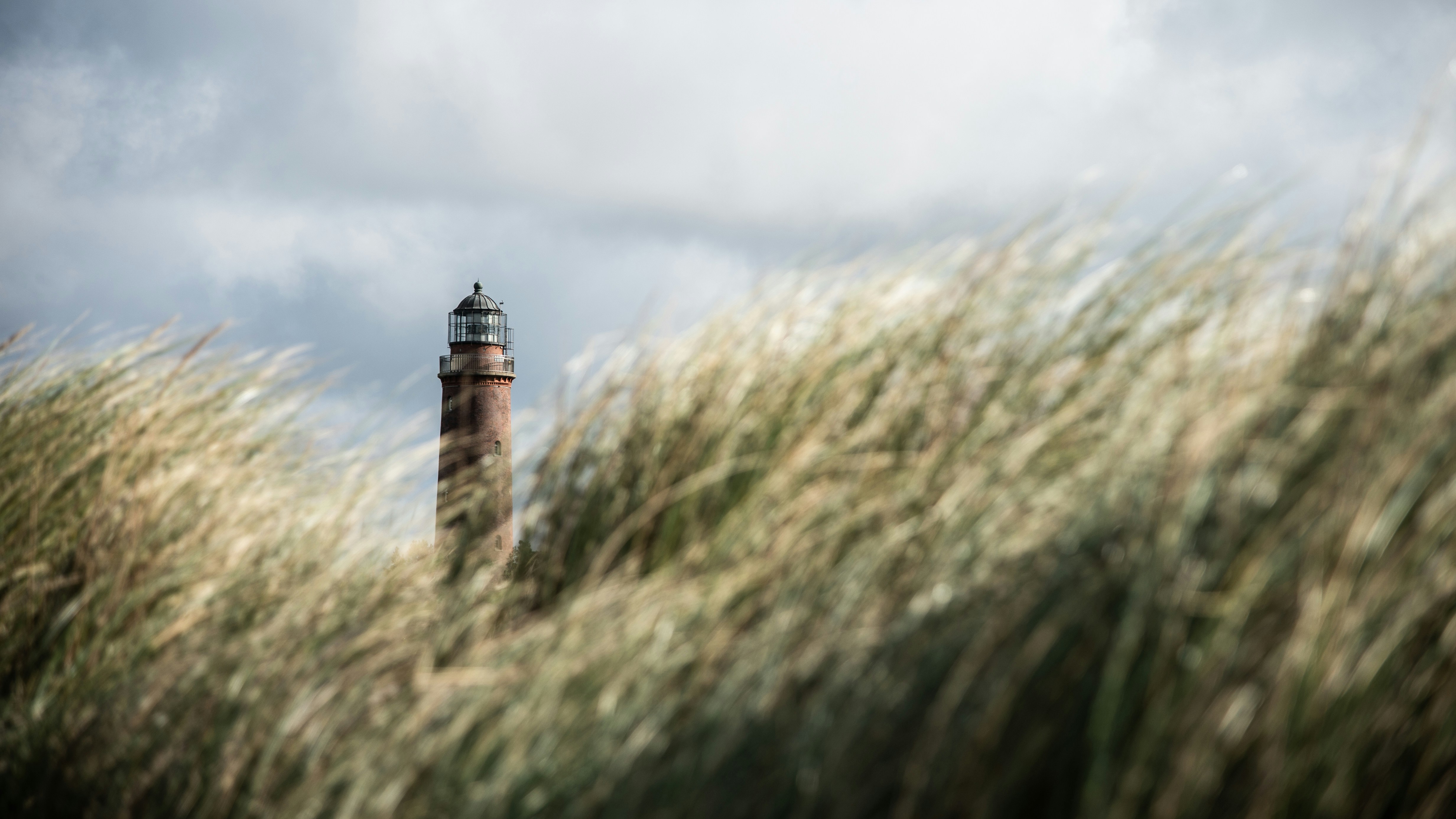 6 Fragen zum Ethics Playbook von Zeilenwerk