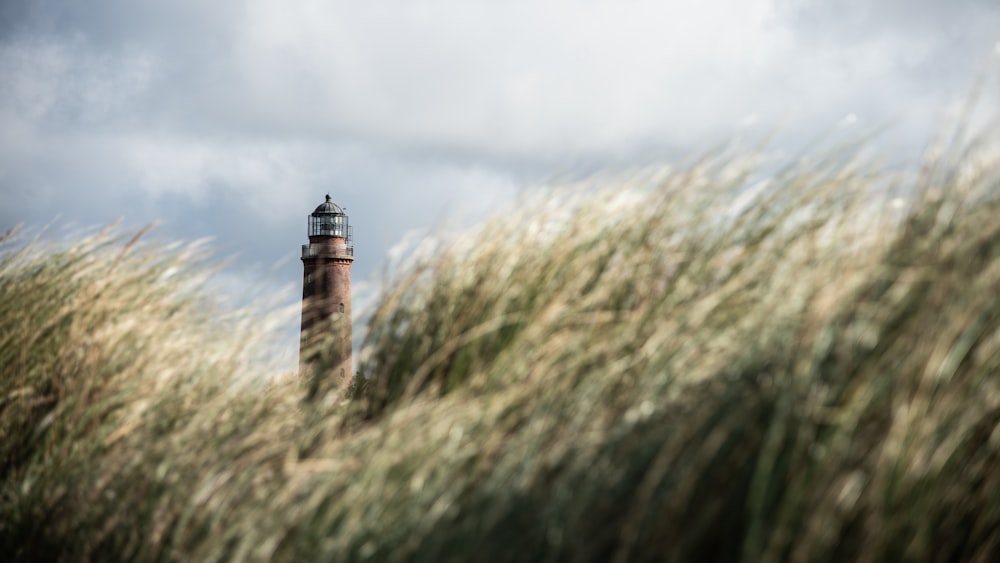 white and black lighthouse on green grass field