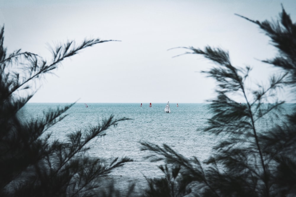 people on beach during daytime