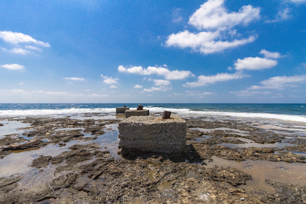 brown rock on seashore during daytime