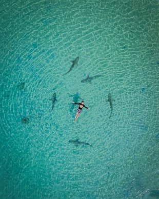 2 person in blue and white wetsuit surfing on blue sea water during daytime