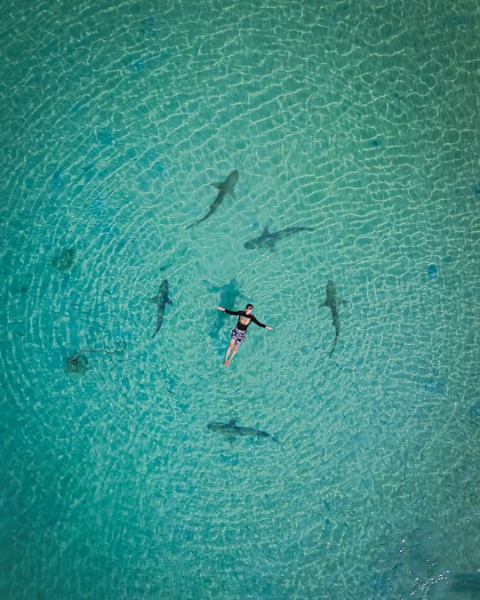 2 person in blue and white wetsuit surfing on blue sea water during daytime in Tioman Island Malaysia