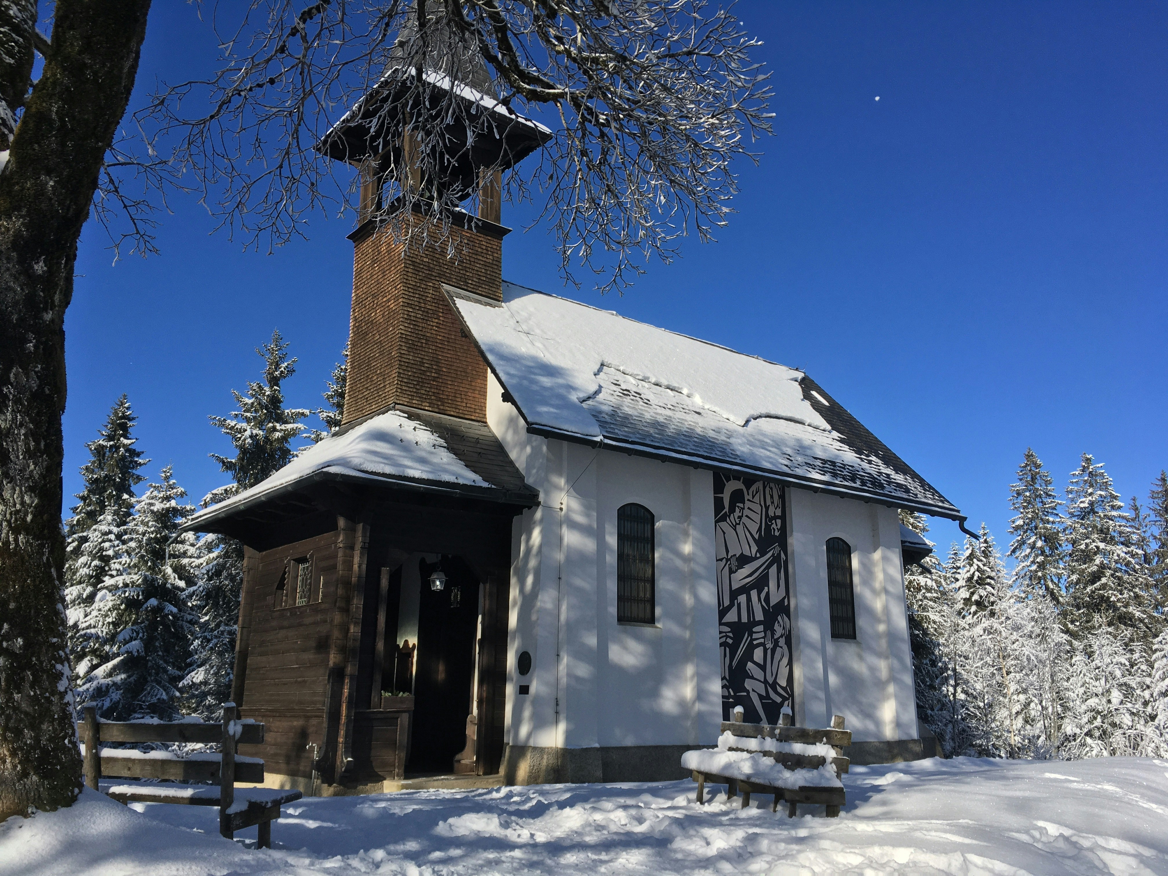 brown and white concrete house near green tree under blue sky during daytime