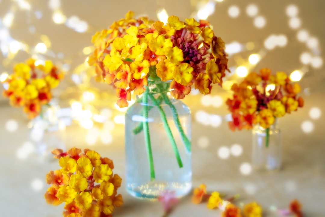yellow and pink flowers in clear glass vase