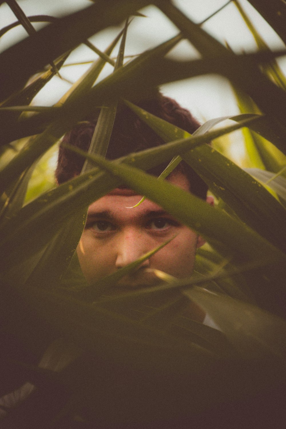 woman hiding behind green leaves