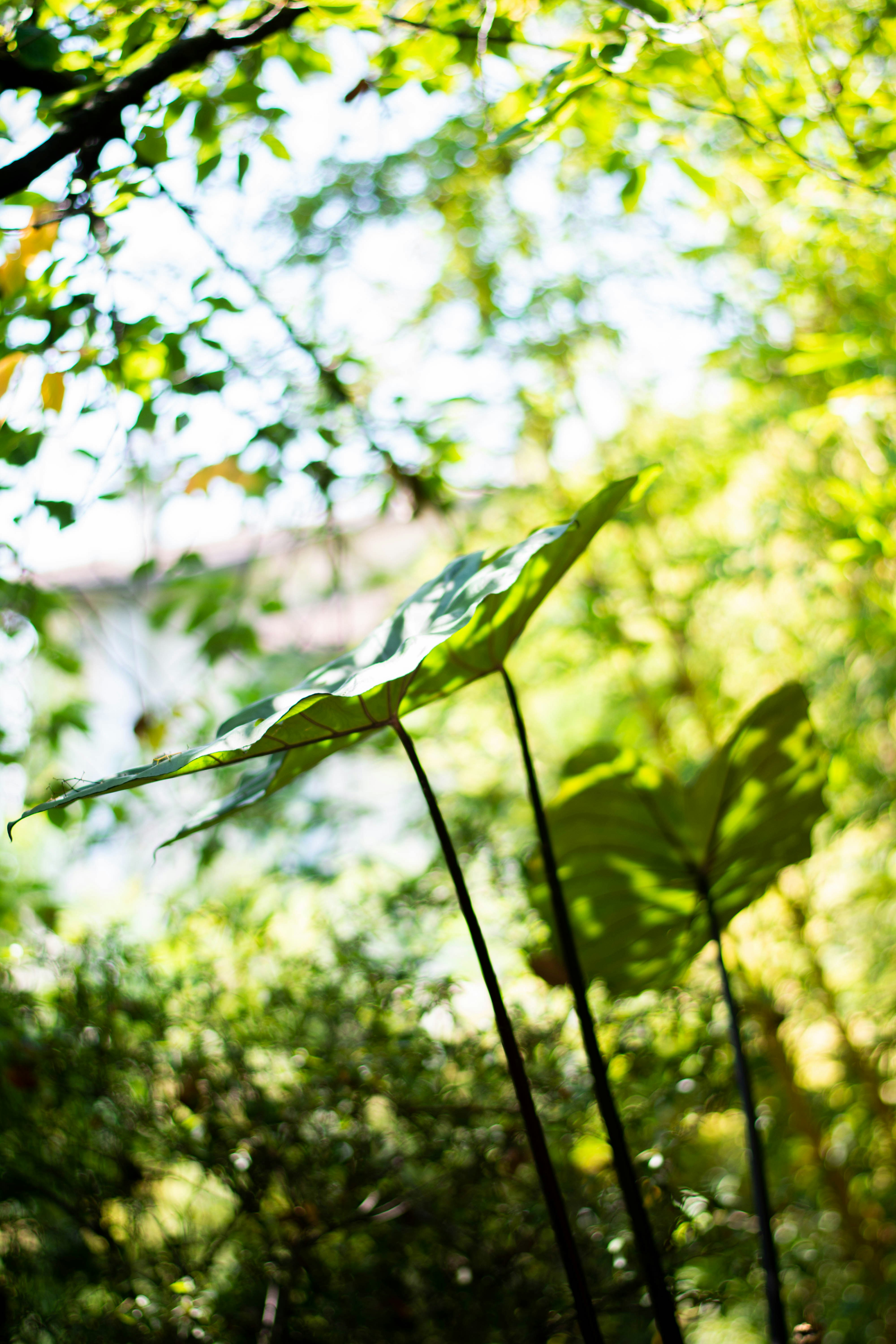 Photo by mattiacorciulo