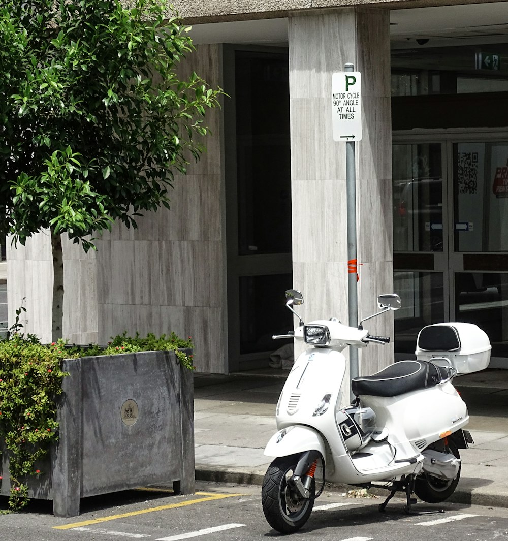 white motor scooter parked beside green tree during daytime