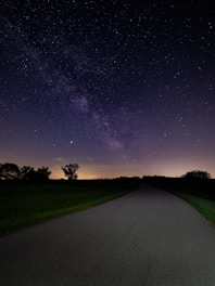 green grass field under starry night