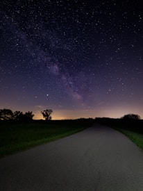 green grass field under starry night