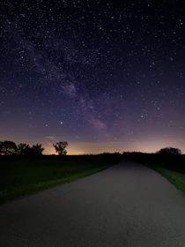 green grass field under starry night