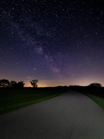 green grass field under starry night
