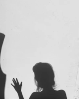 A shadowy silhouette of a domme holding a riding crop against a black background, evoking mystery and control.