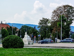 black sedan on road near green grass field during daytime