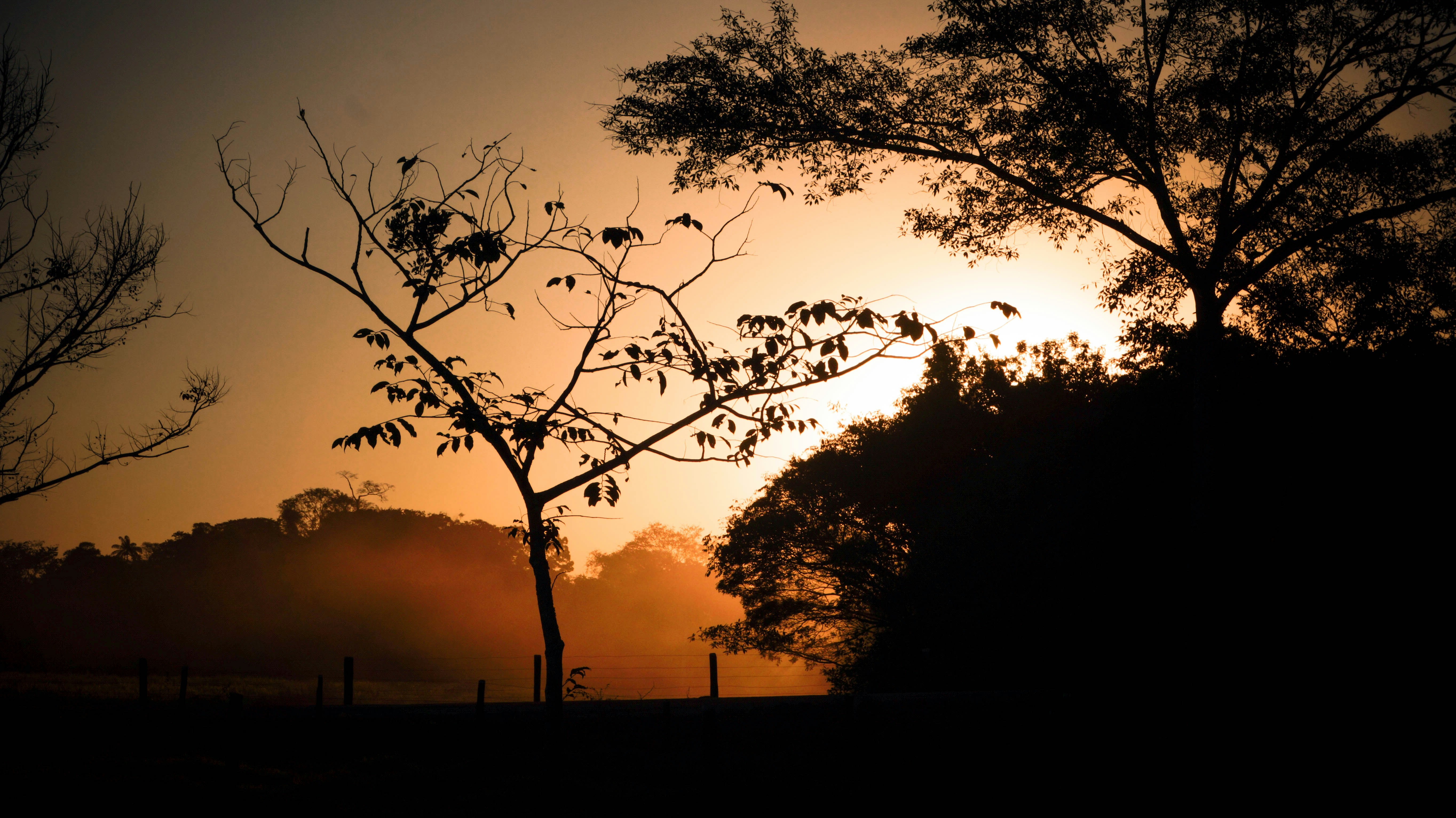 Photo by mhirophotos