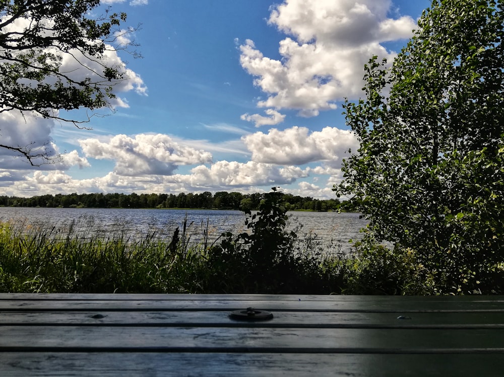 alberi verdi vicino allo specchio d'acqua sotto il cielo nuvoloso blu e bianco durante il giorno