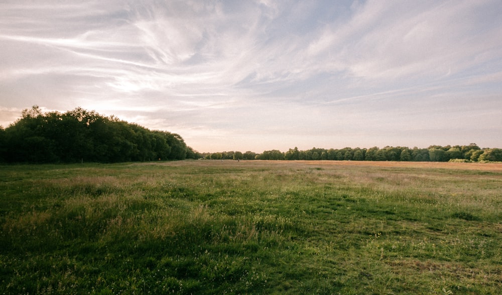 green grass field under cloudy sky during daytime