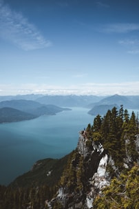 green trees on mountain near lake during daytime