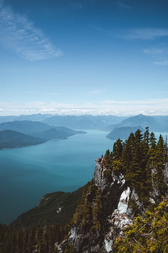 green trees on mountain near lake during daytime in Cypress Provincial Park Canada