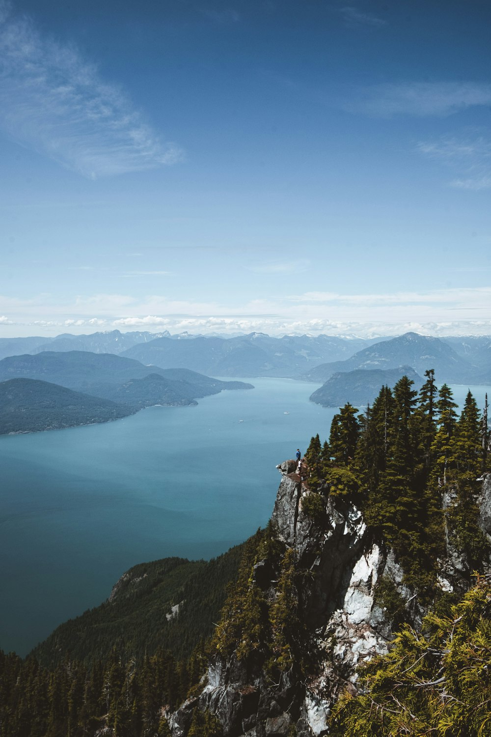 arbres verts sur la montagne près du lac pendant la journée