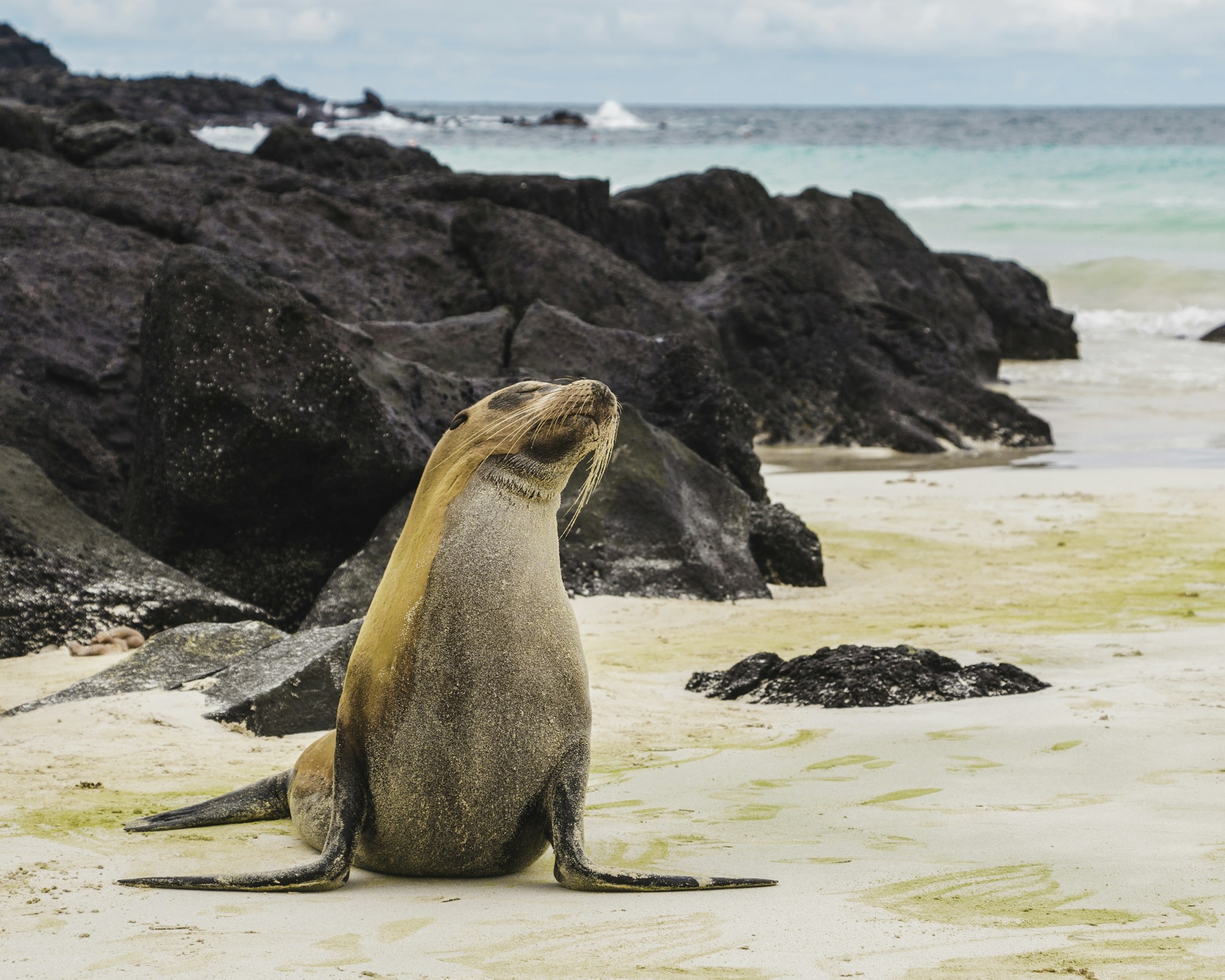 Ecuador & The Galapagos