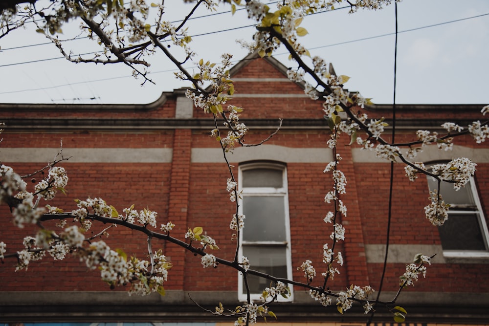 brown brick building with black metal fence