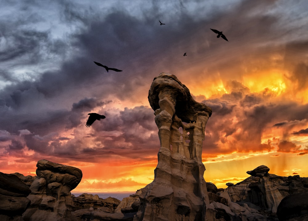 Aves volando sobre la formación rocosa marrón durante la puesta del sol