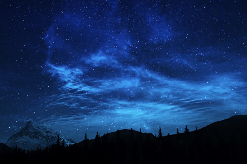 silhouette di alberi sotto il cielo blu