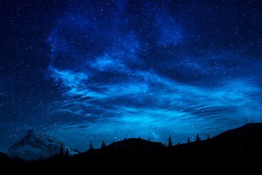 silhouette of trees under blue sky in Cypress Hills Dark Sky Preserve Canada