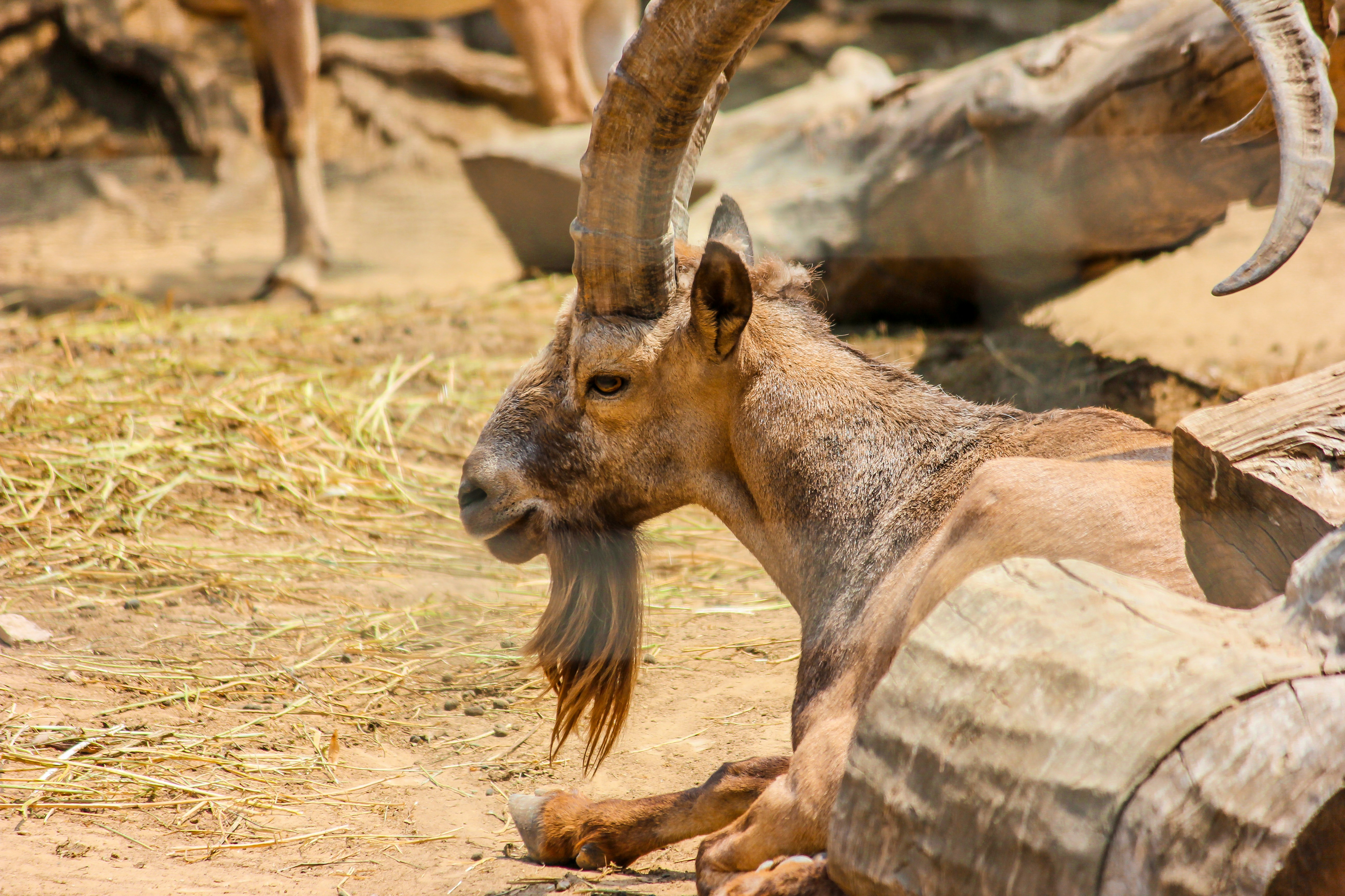 Photo by valentinbalan