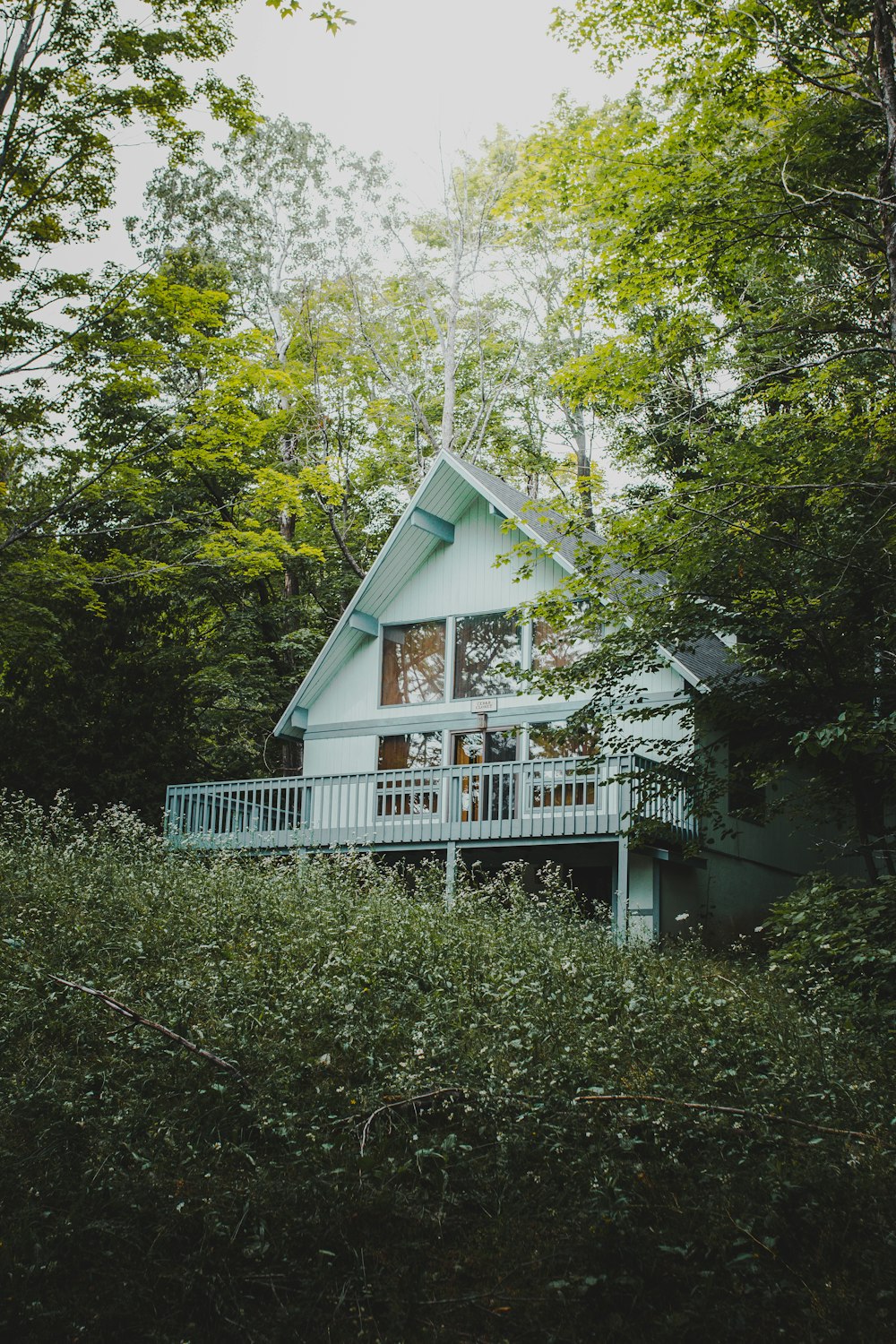 昼間は緑の木々に囲まれた白い木造住宅