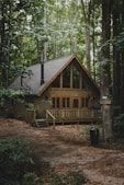 brown wooden house in forest during daytime