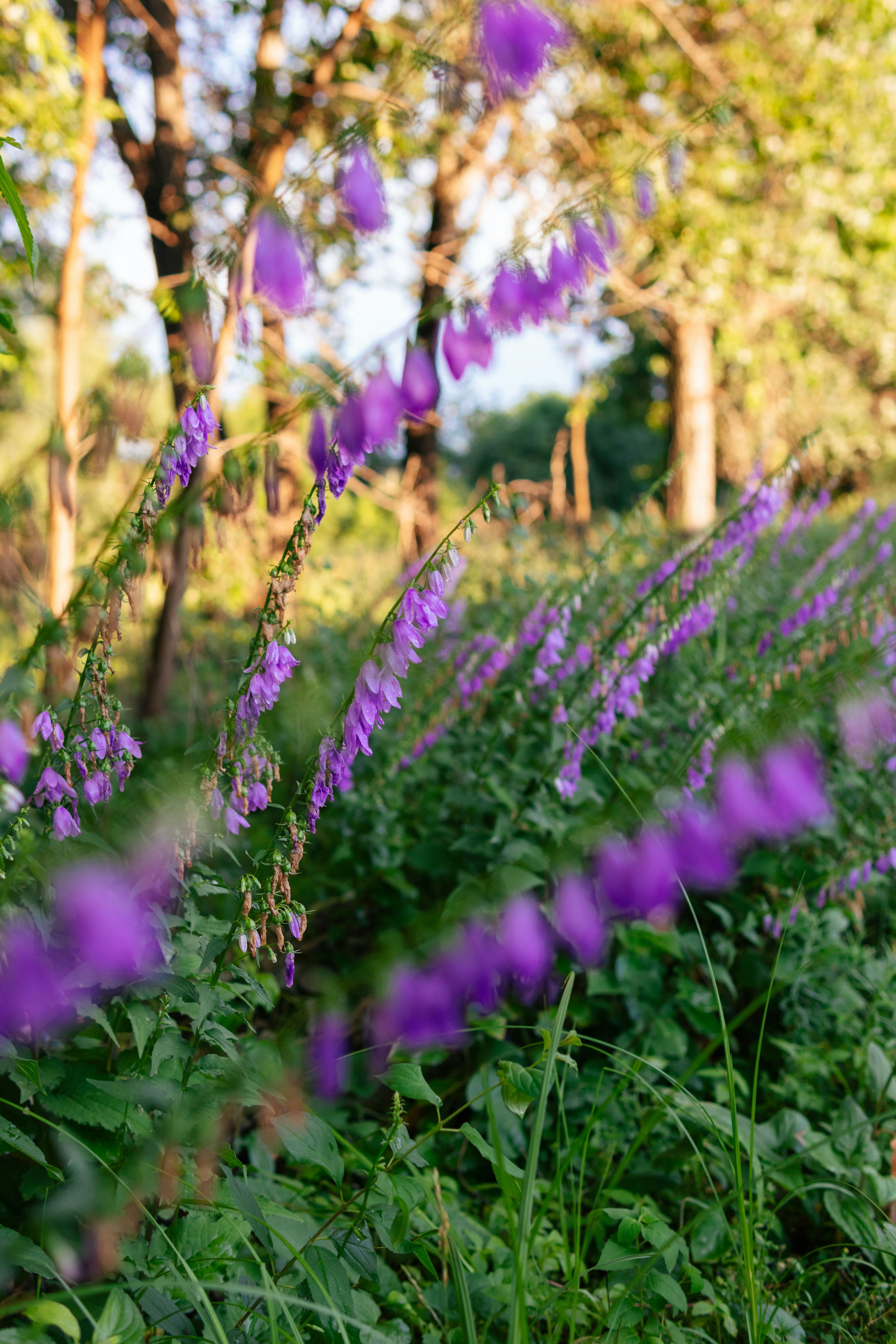 Photo by brandoncormier