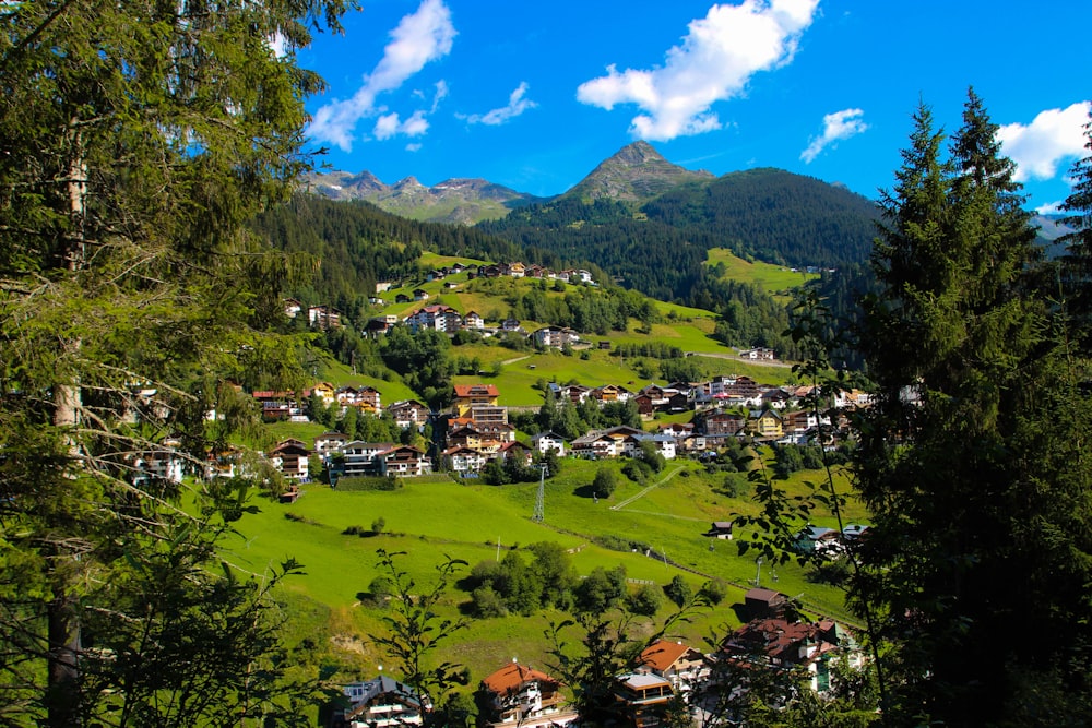 Grüne Bäume und Berge unter blauem Himmel tagsüber