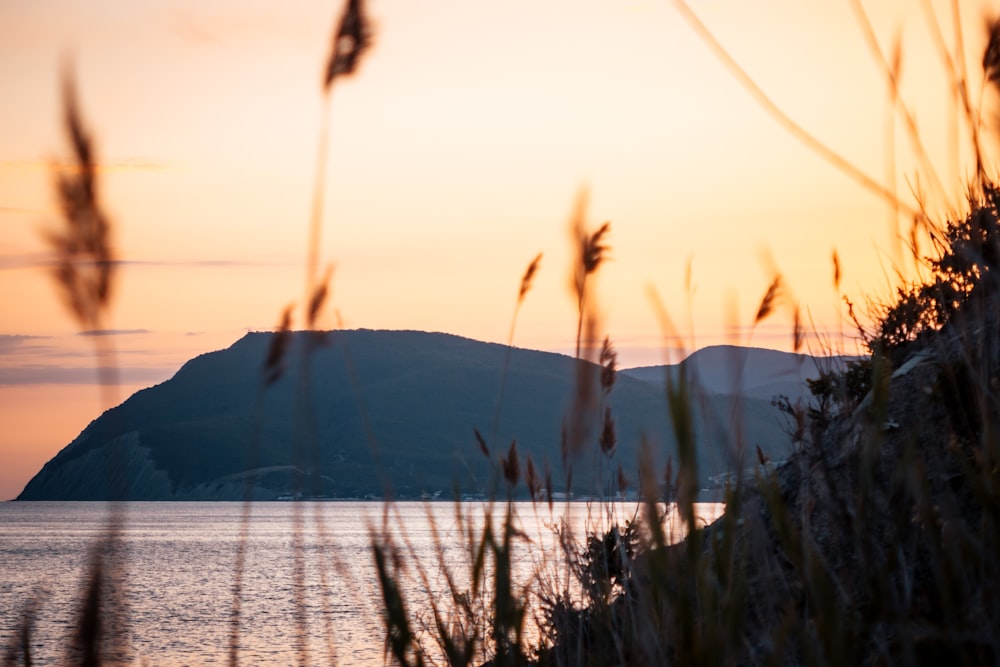 silhouette of mountain near body of water during sunset