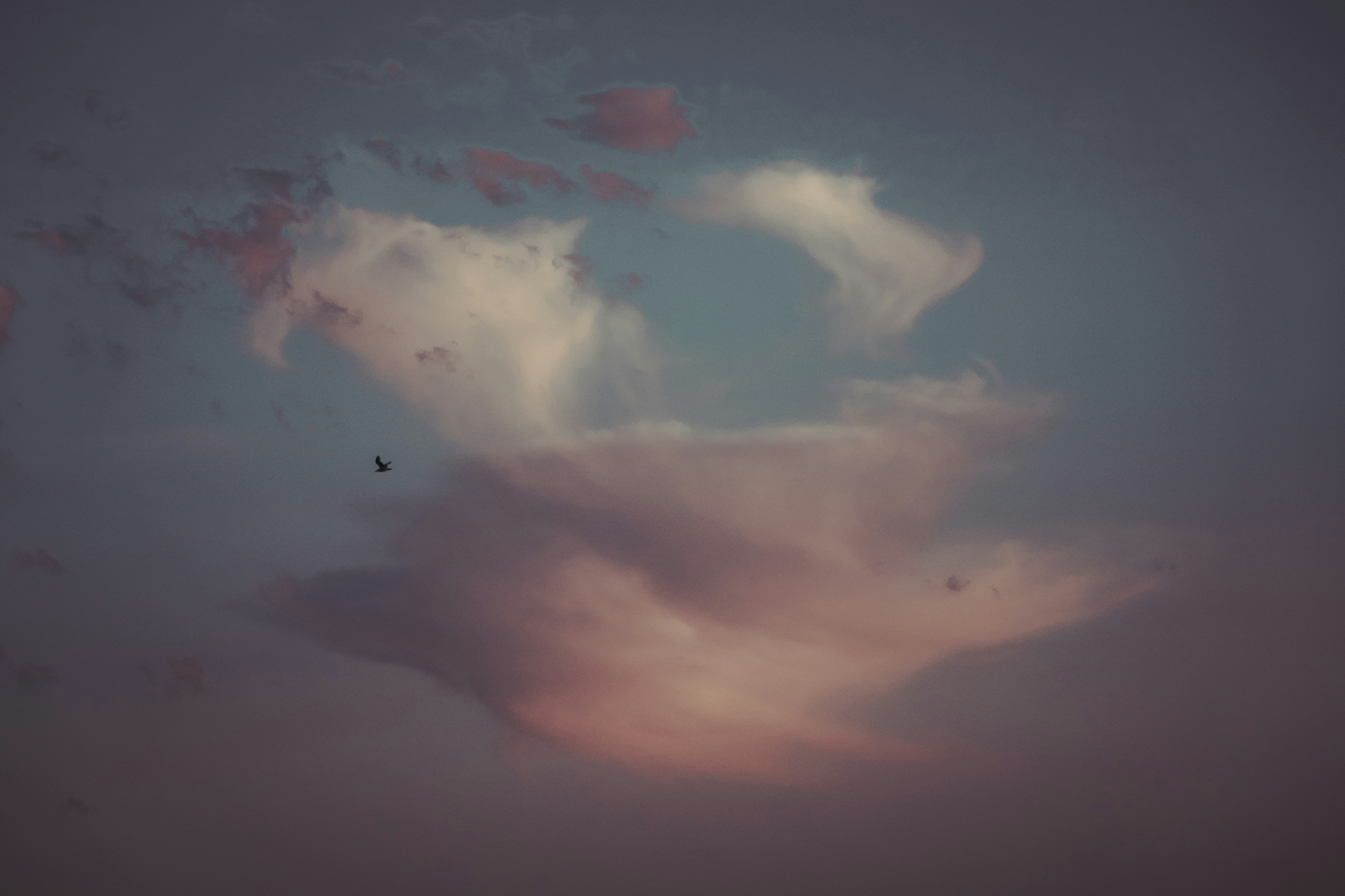 日没時に空を飛ぶ飛行機