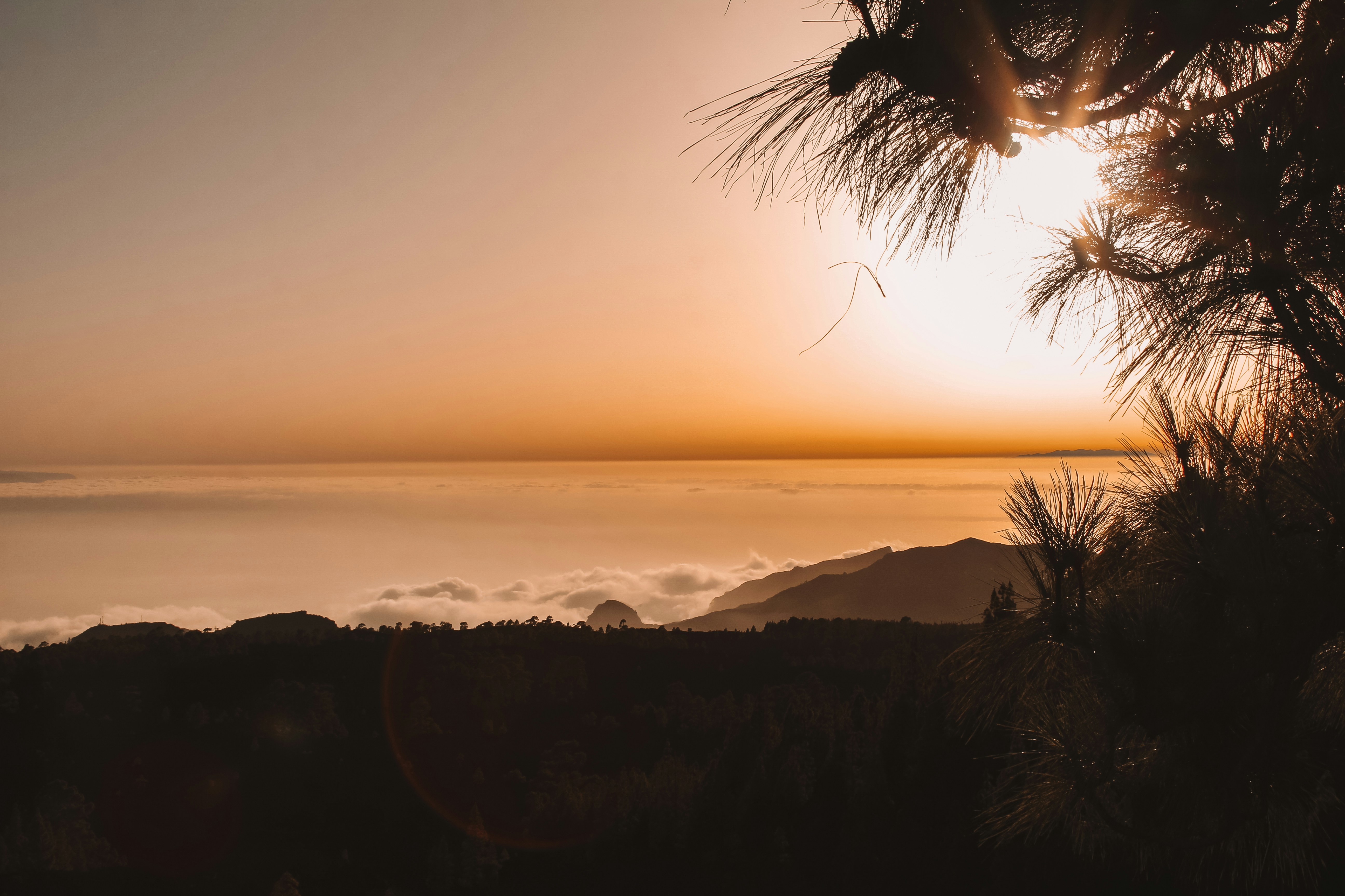 Photo by _miltiadis_