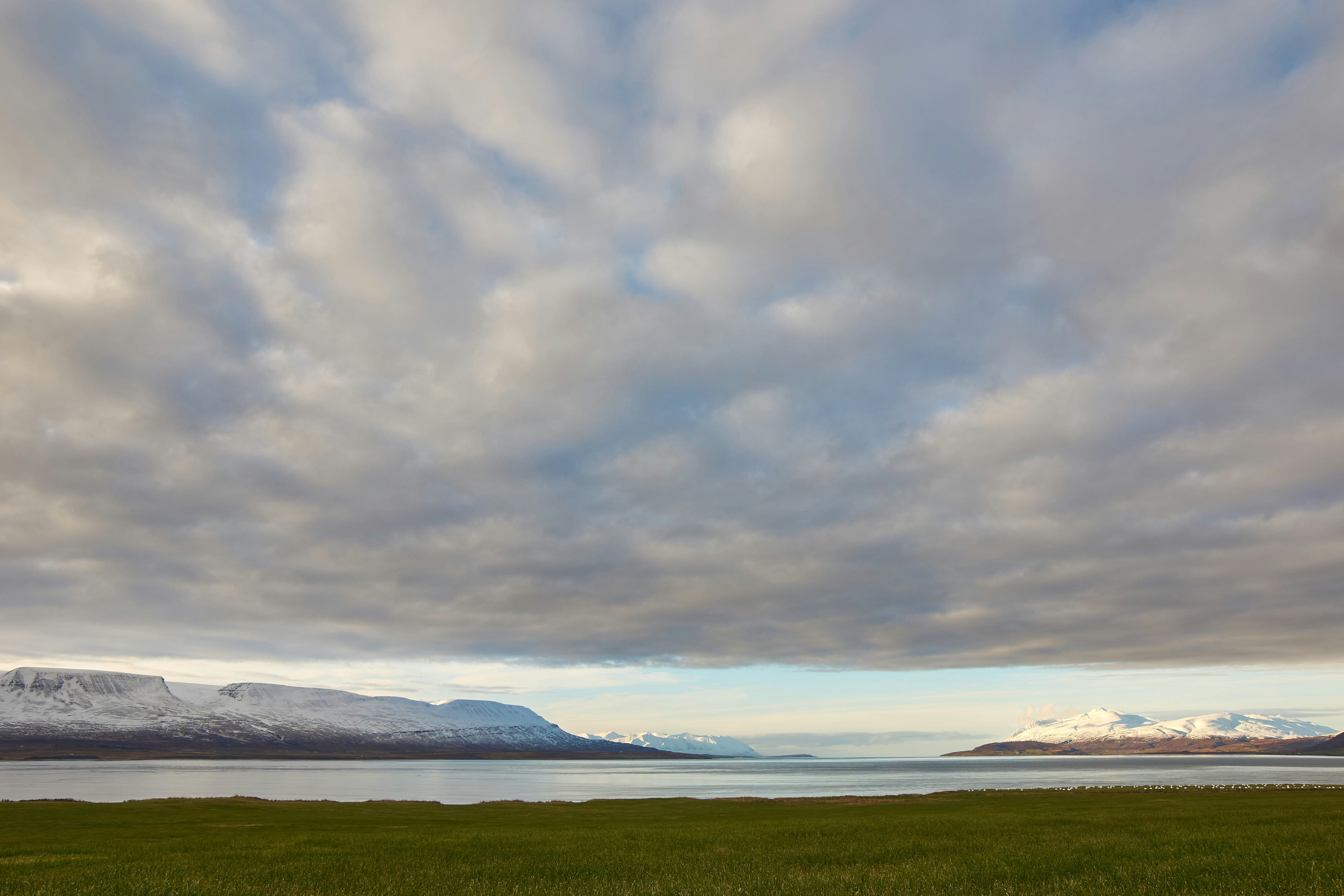 Photo by wolfgang_hasselmann