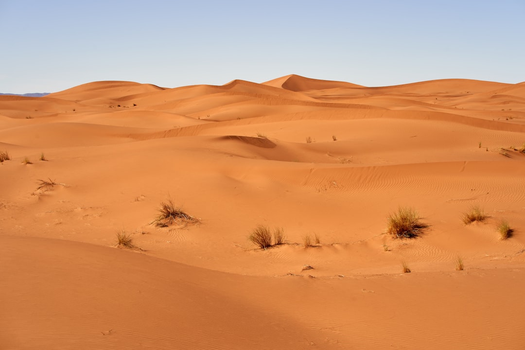 brown sand and green grass during daytime