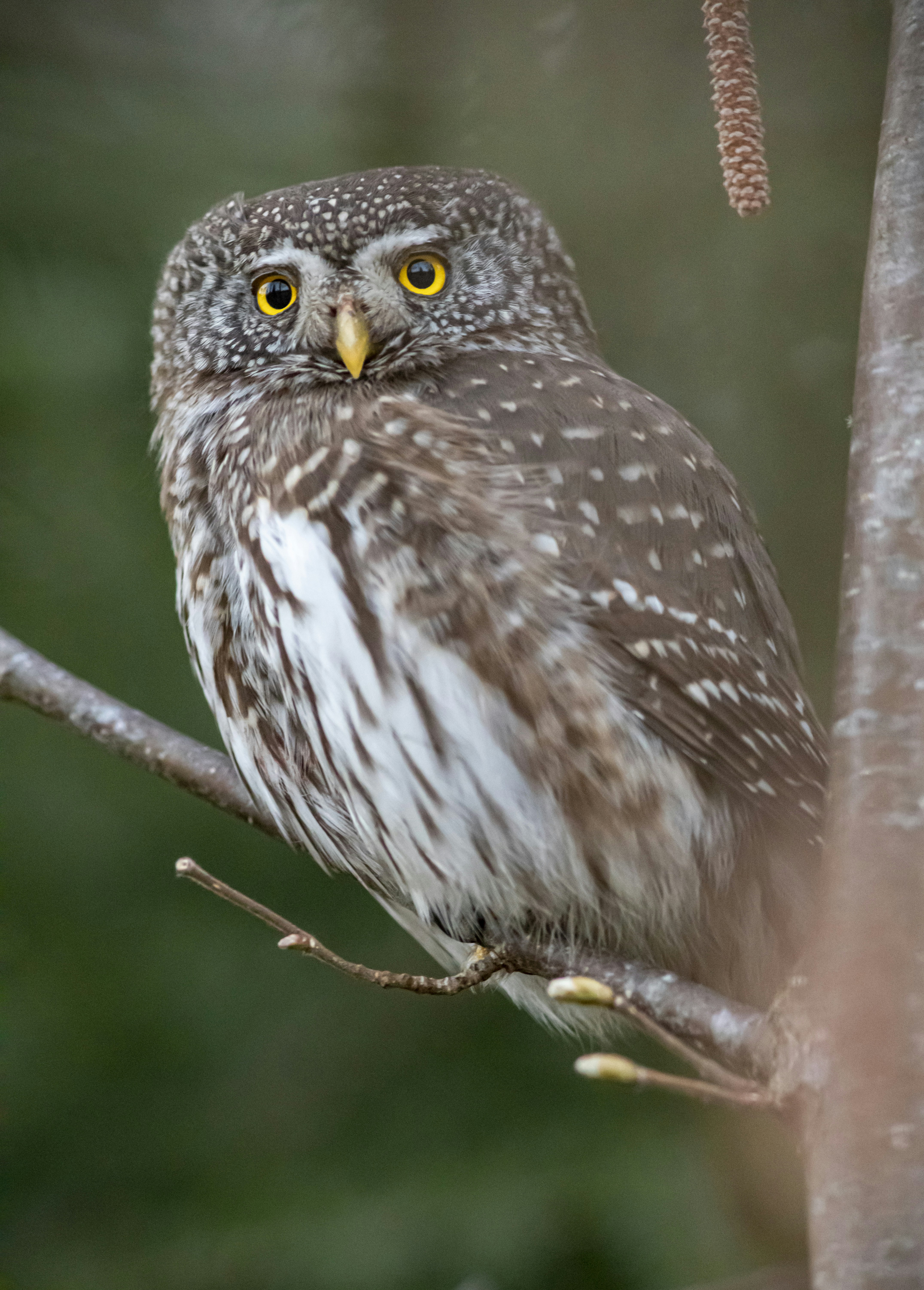 Photo by erik_karits