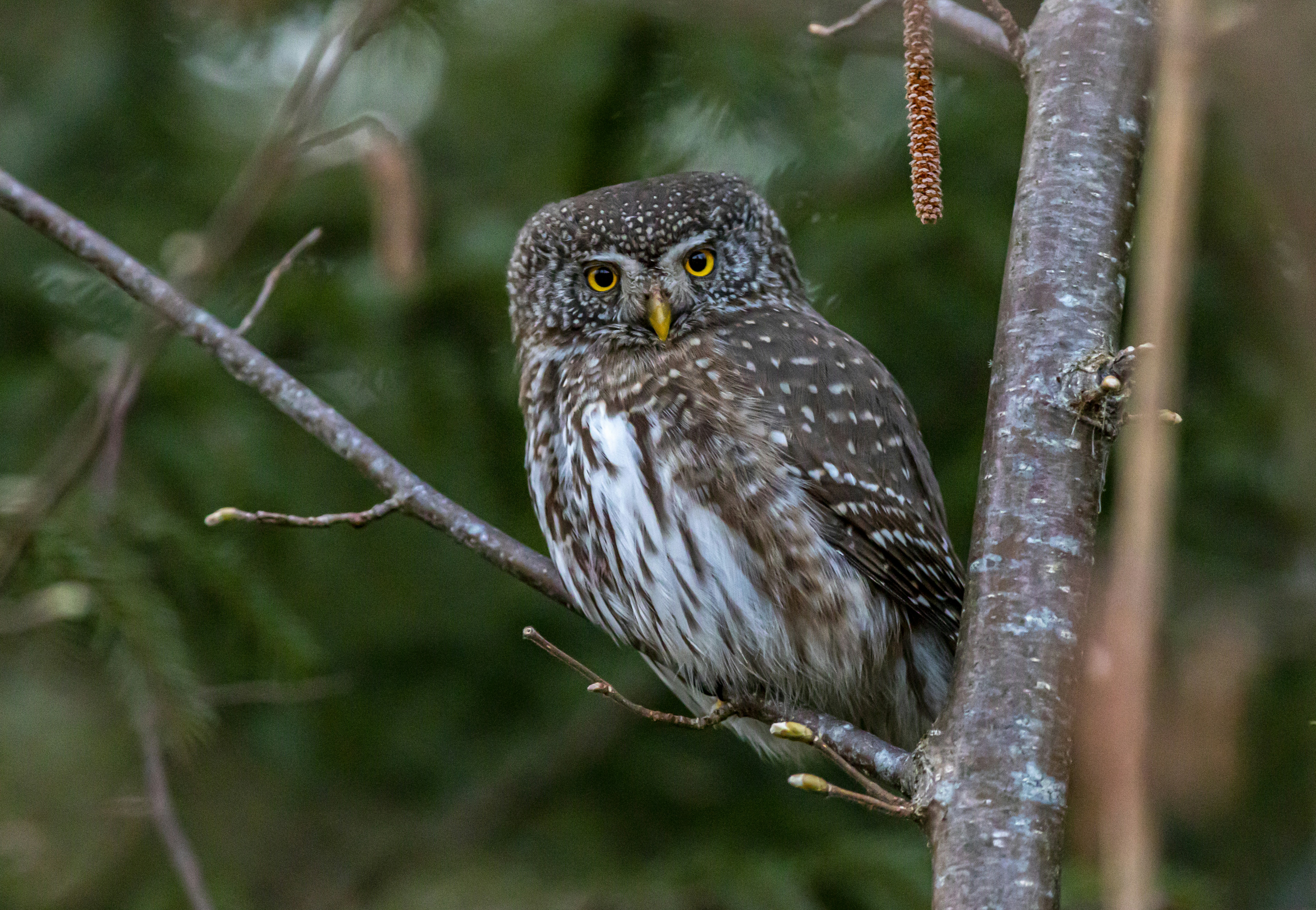 Photo by erik_karits