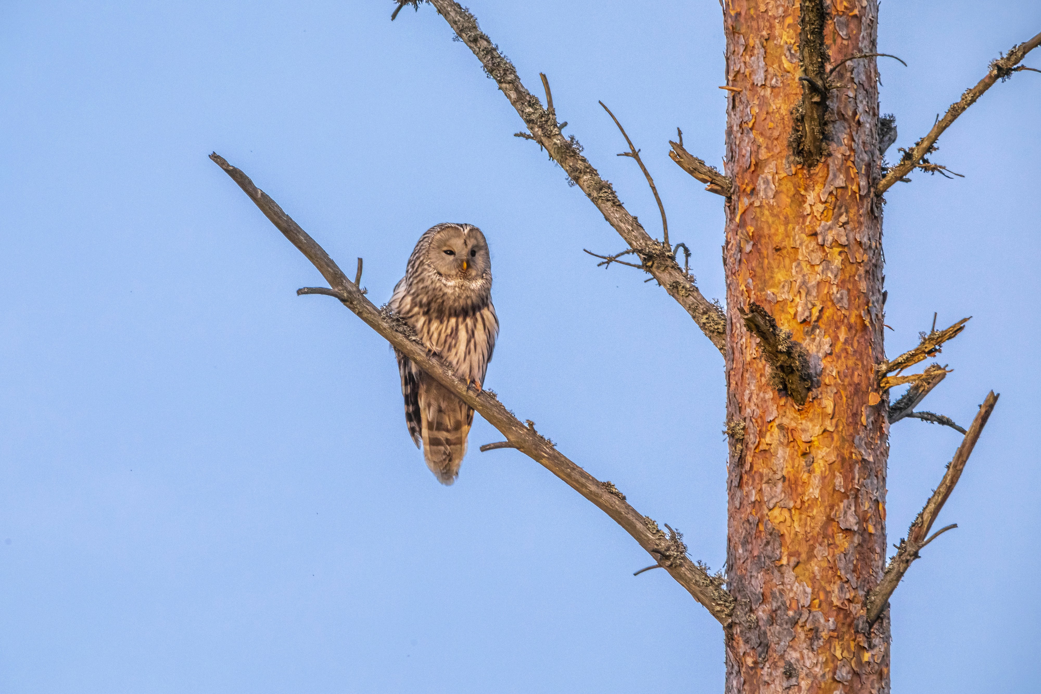 Photo by erik_karits