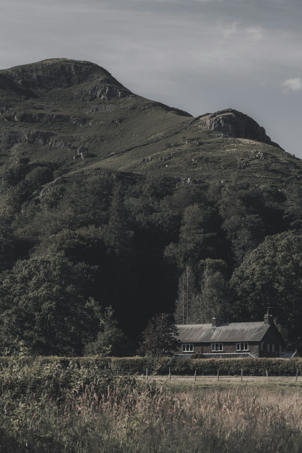 brown wooden house on green grass field near green mountain under white clouds during daytime