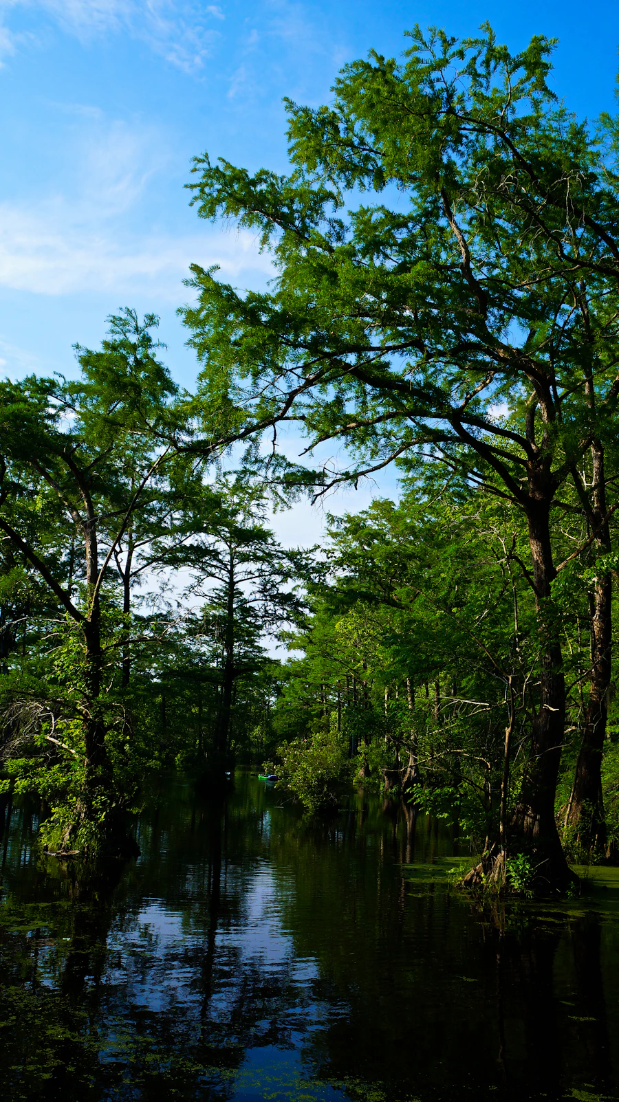 Waterfront greenery for corporate events
