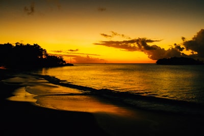 silhouette of trees near body of water during sunset saint lucia google meet background
