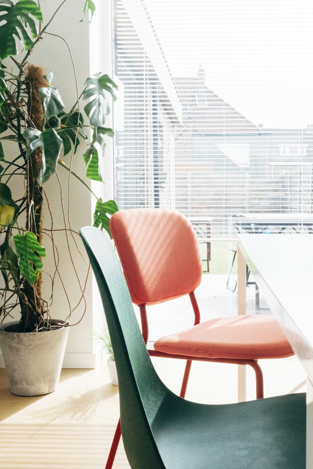 green potted plant on white table