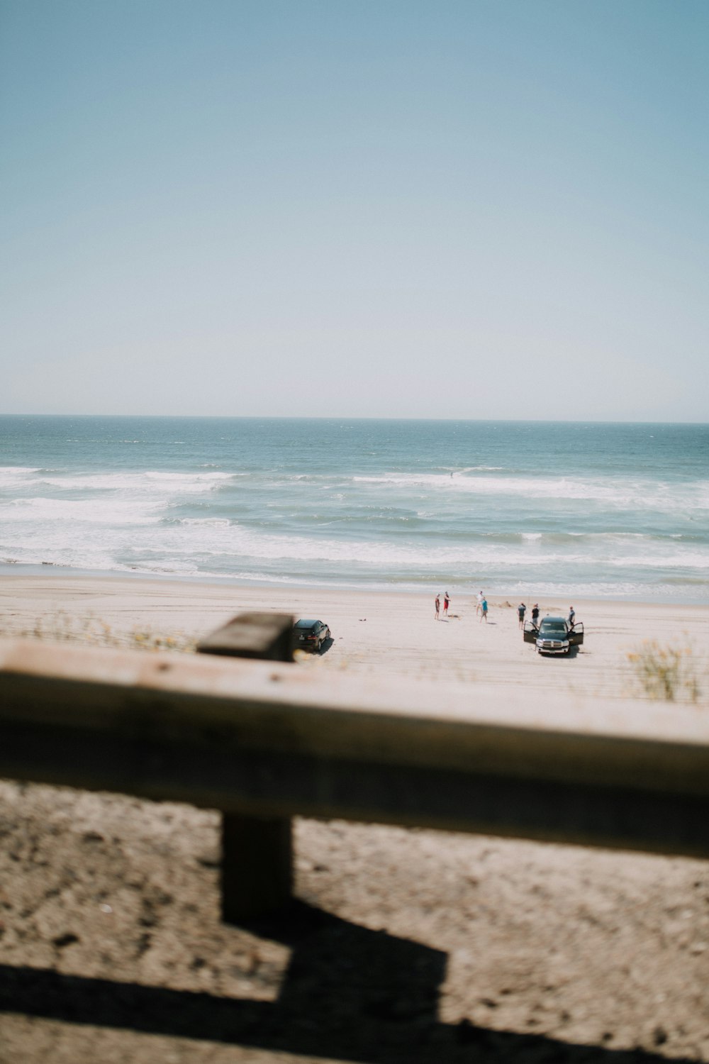 people on beach during daytime