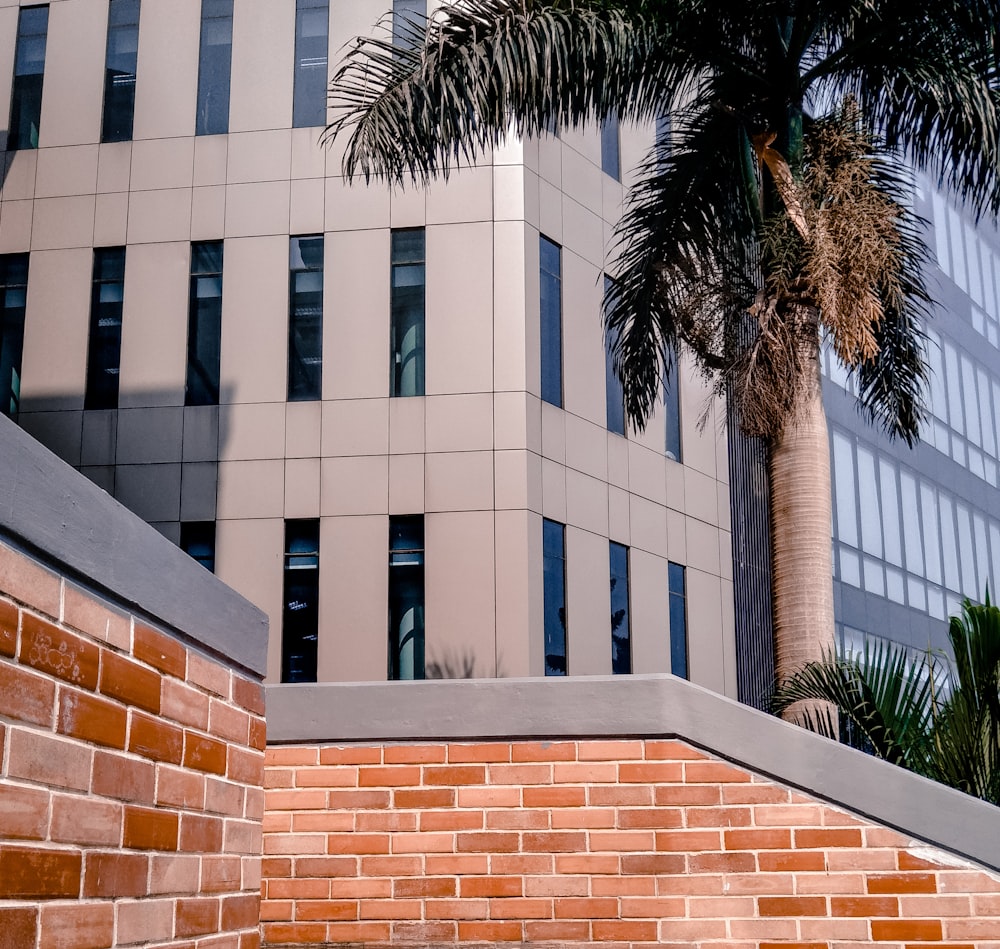 green palm tree near brown brick building