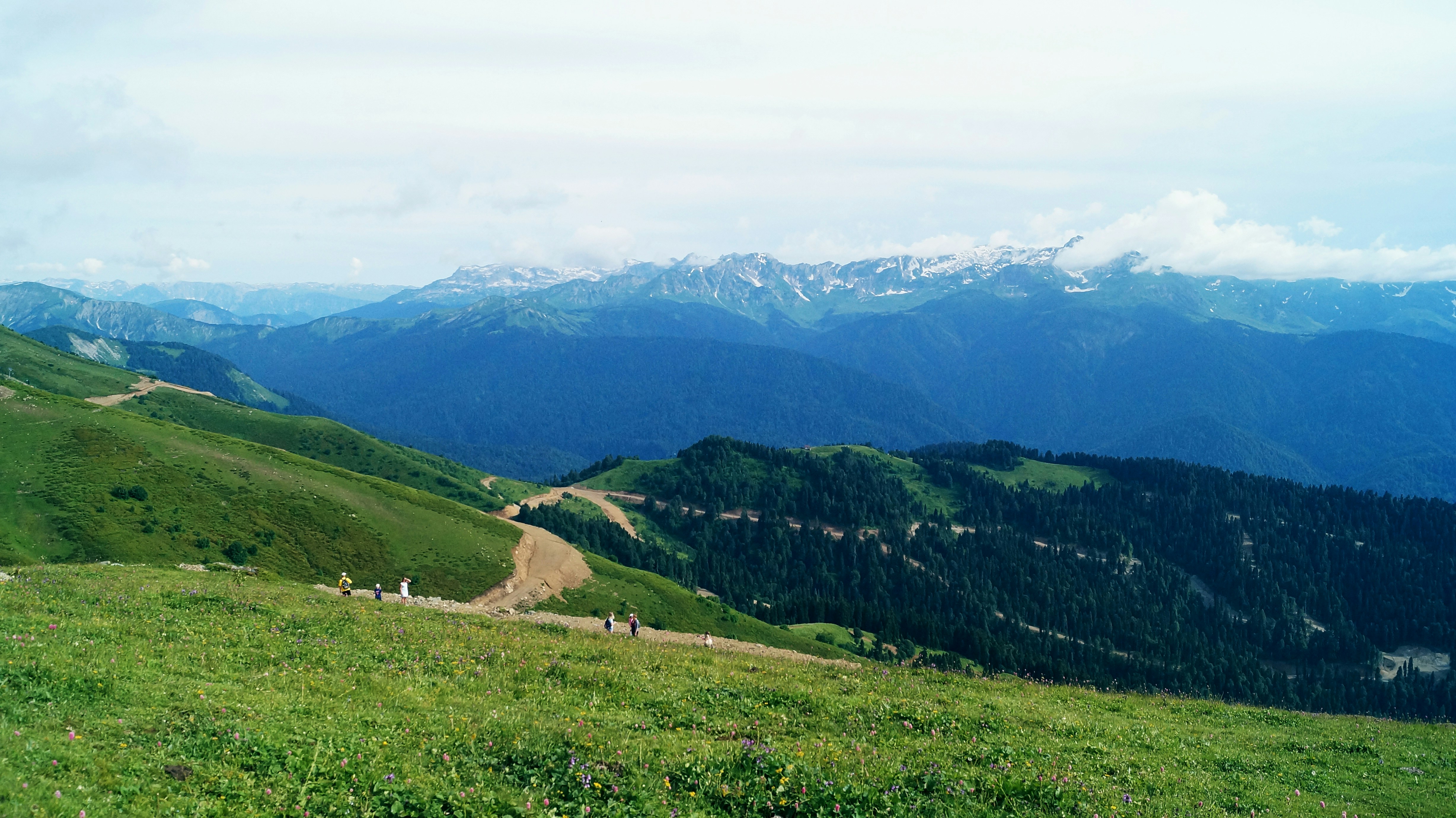 green grass field and mountains during daytime